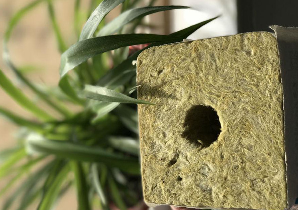 �r(n��ng)�I(y��)�r��