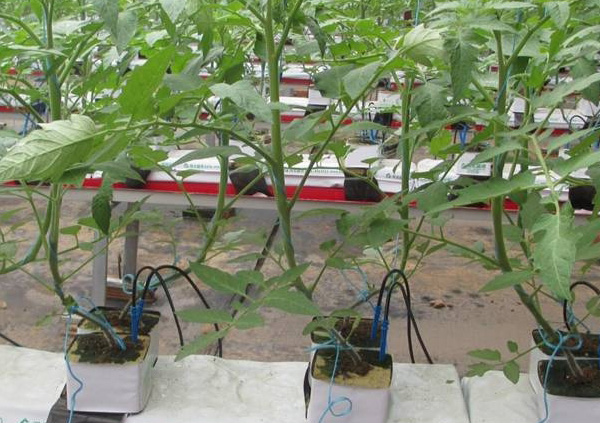 �r(n��ng)�I(y��)�r��